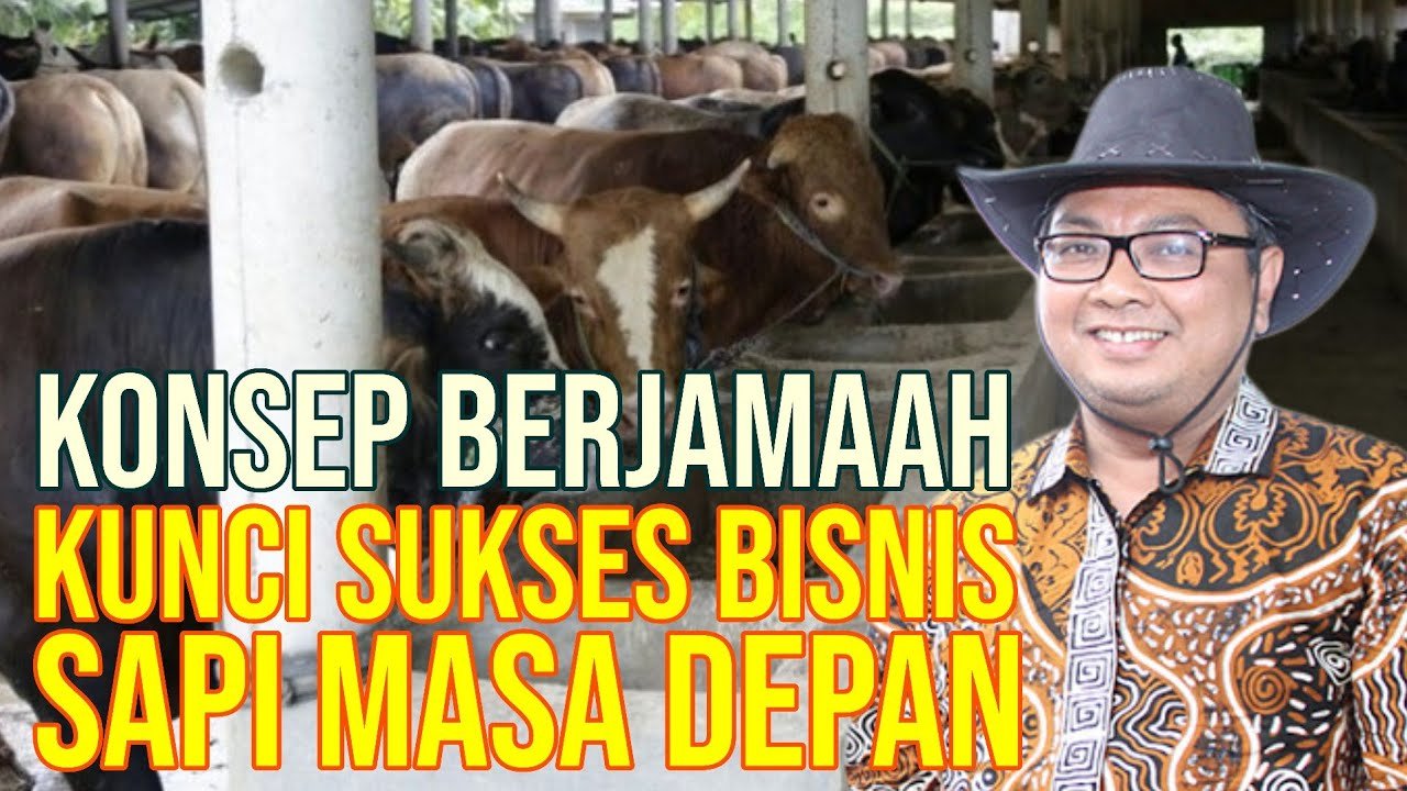 Bisnis Sapi Masa Depan Akan Sukses Dengan Komunitas.jpg